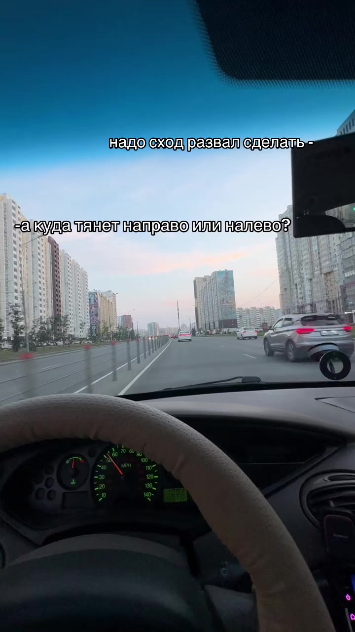 @тгк : Dishka🐾