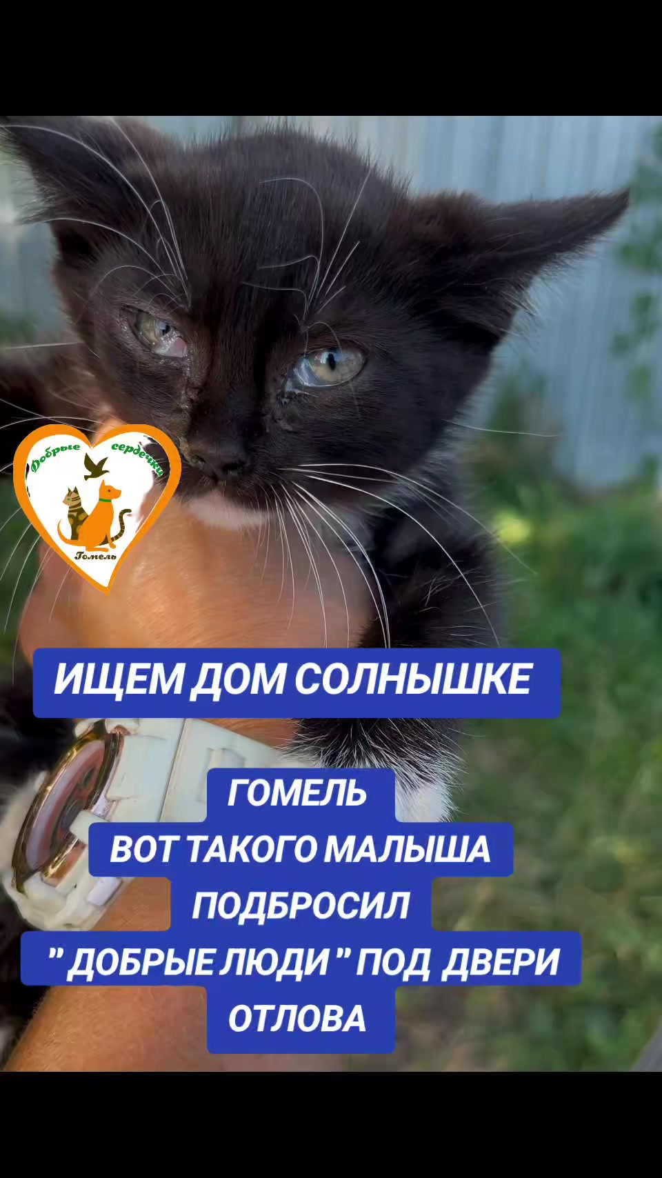 @Марина