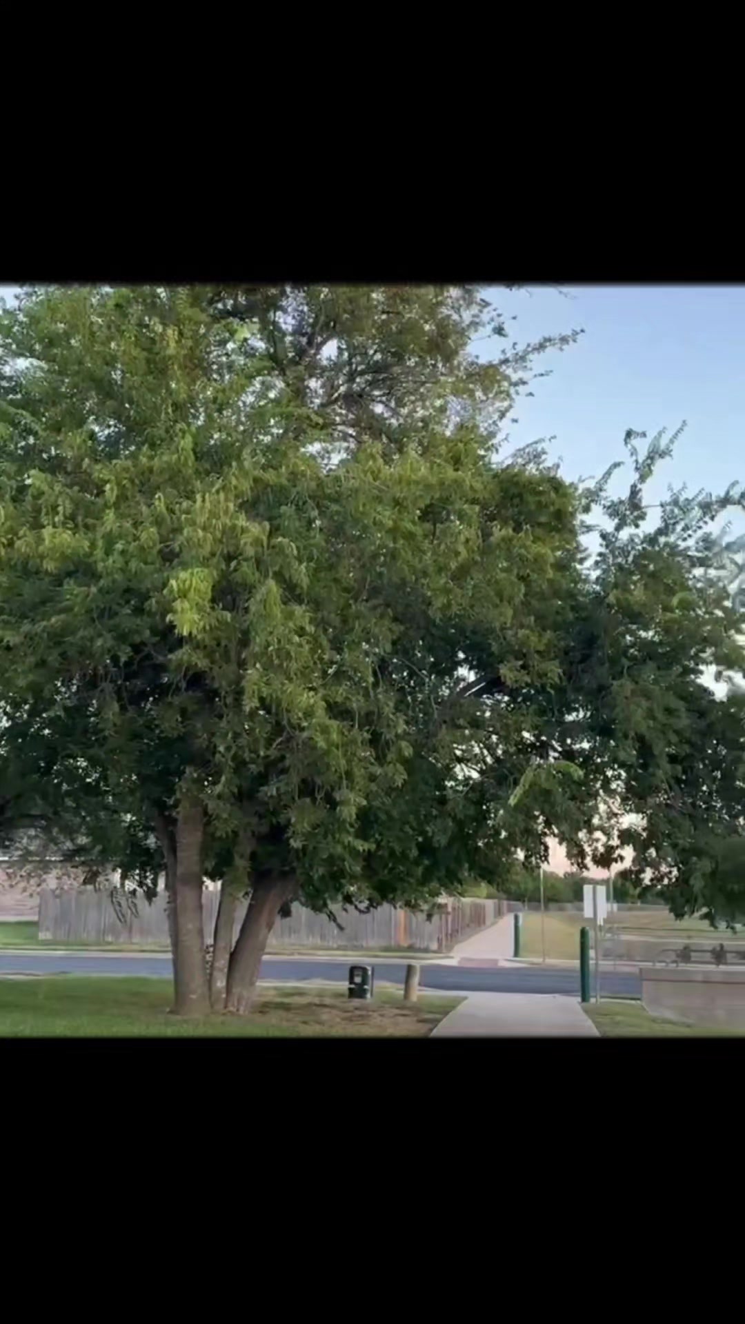 @ek ajanabi