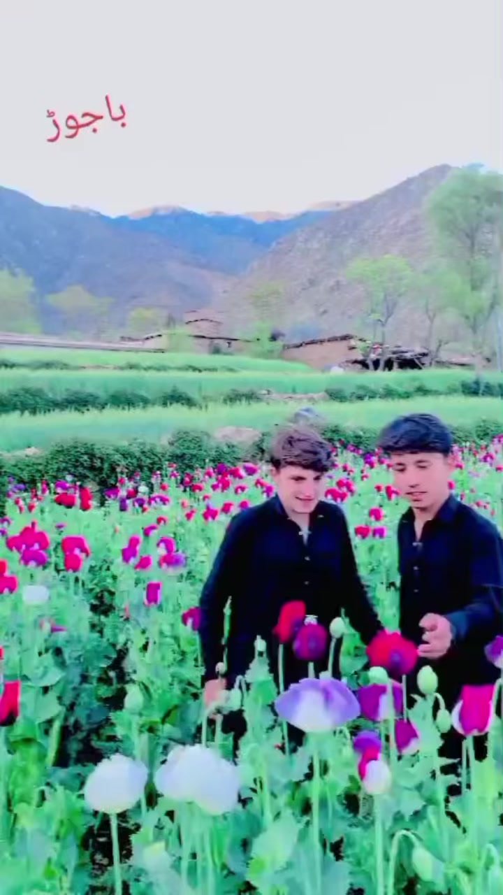 @Hasnain Akhon