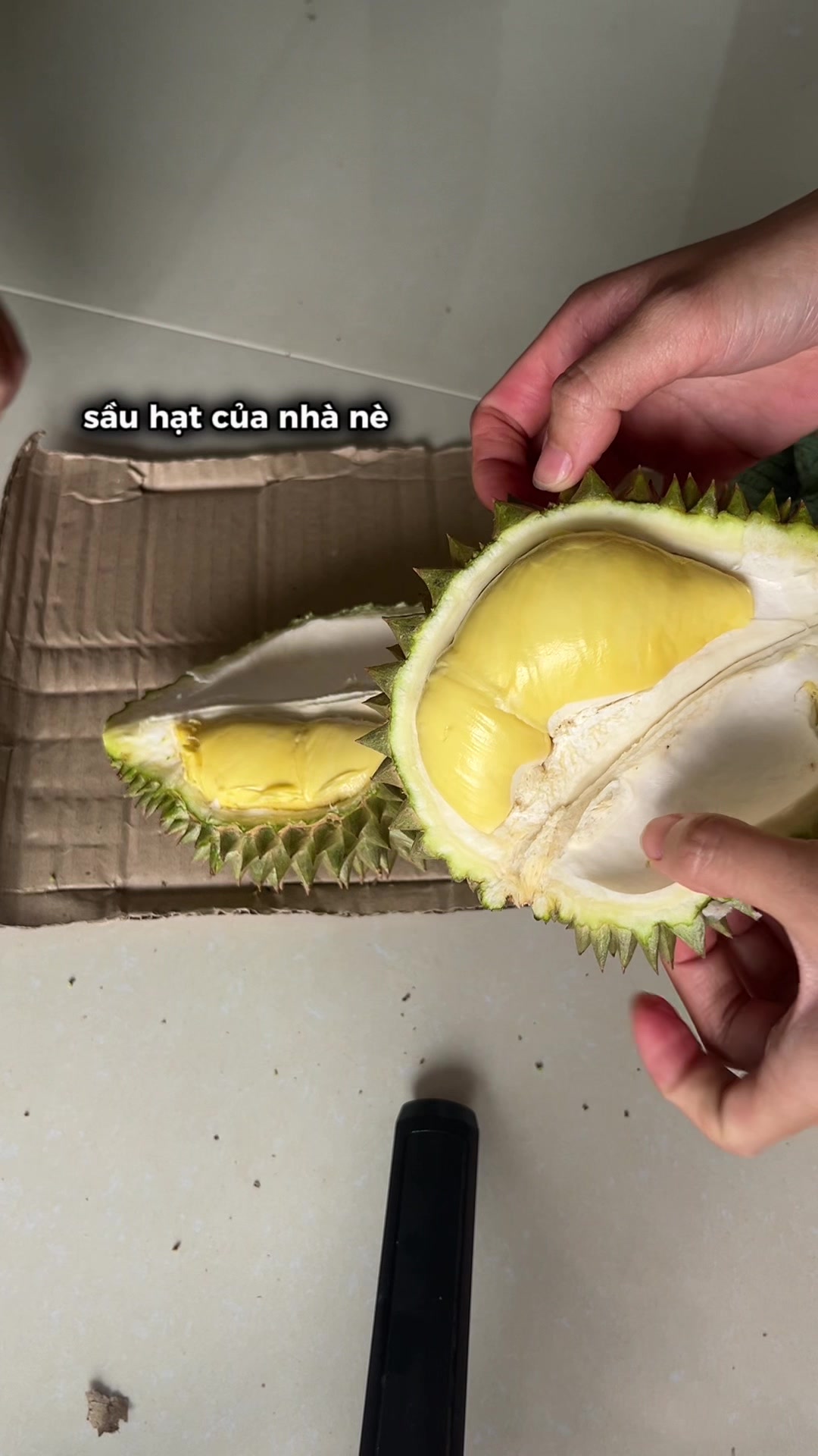 @ThaoJi