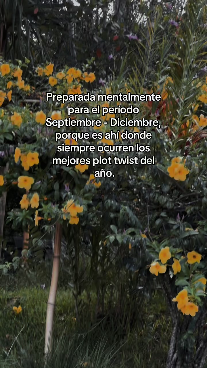 @Jessy Serrano
