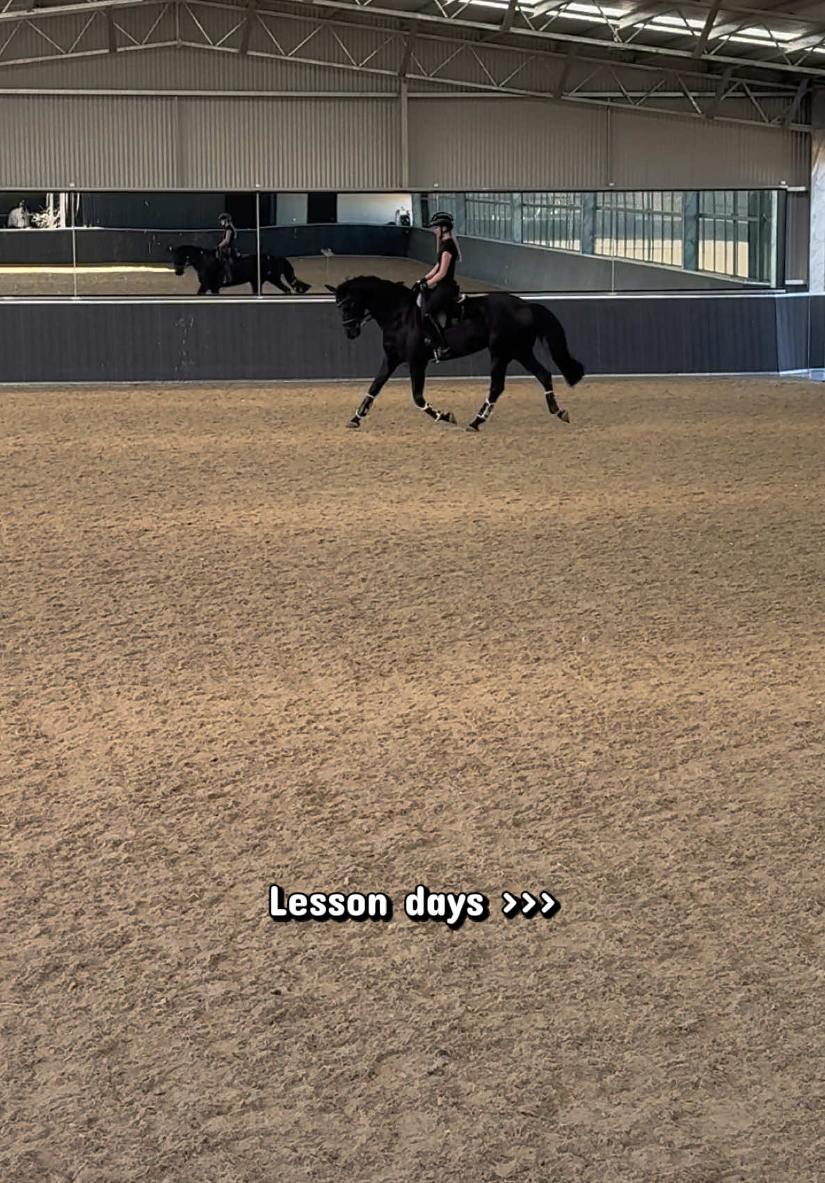 @Ash-Diaz show horses