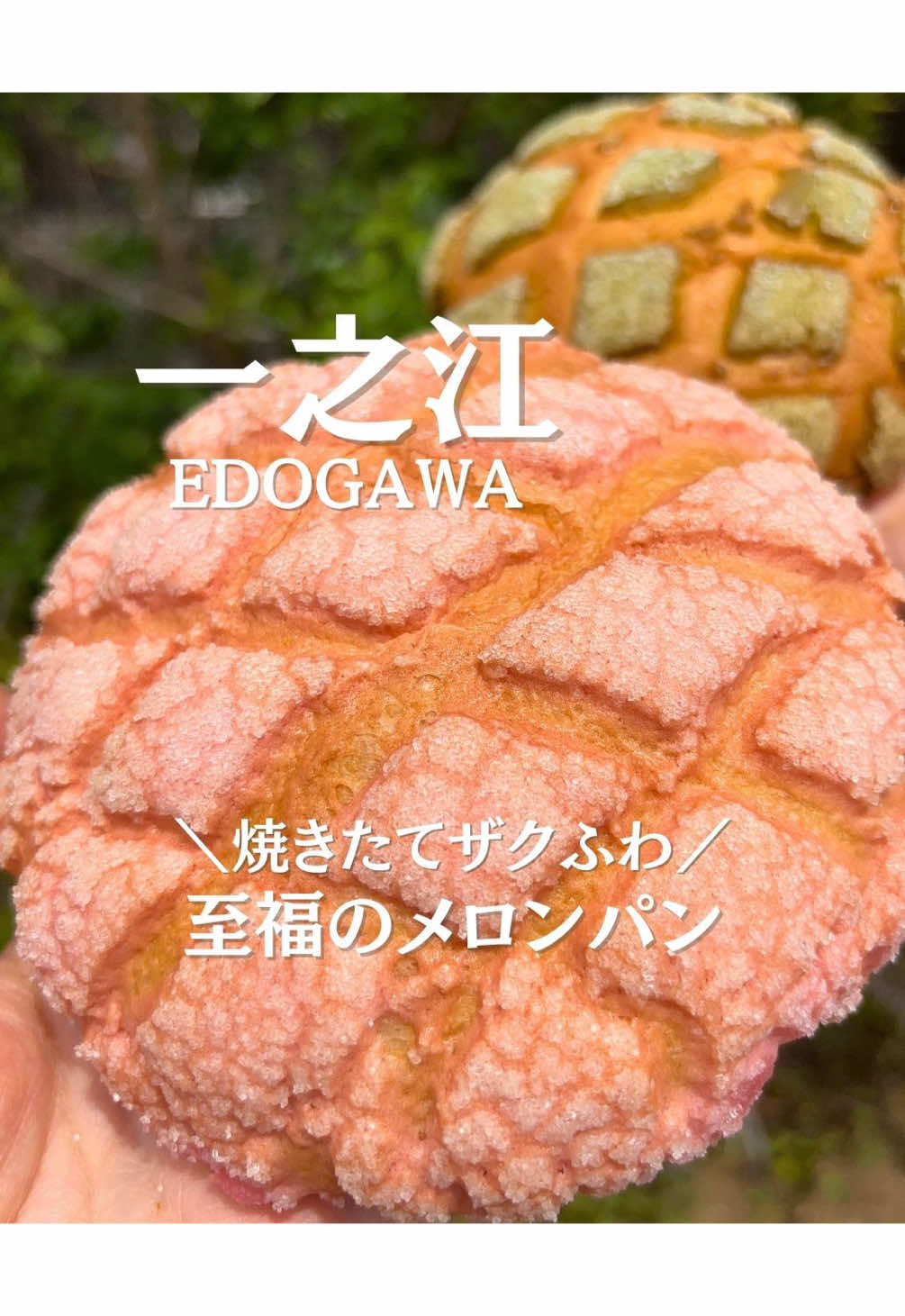 @ことり〻江戸川区 まちの魅力再発見