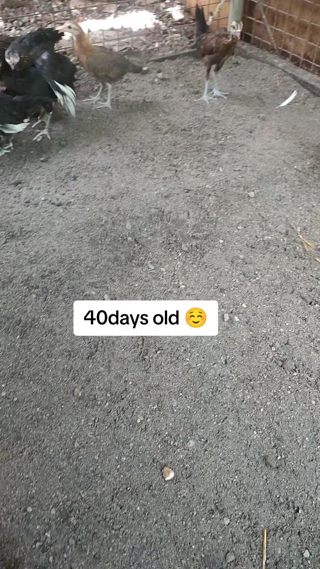 @kaymark alejandro