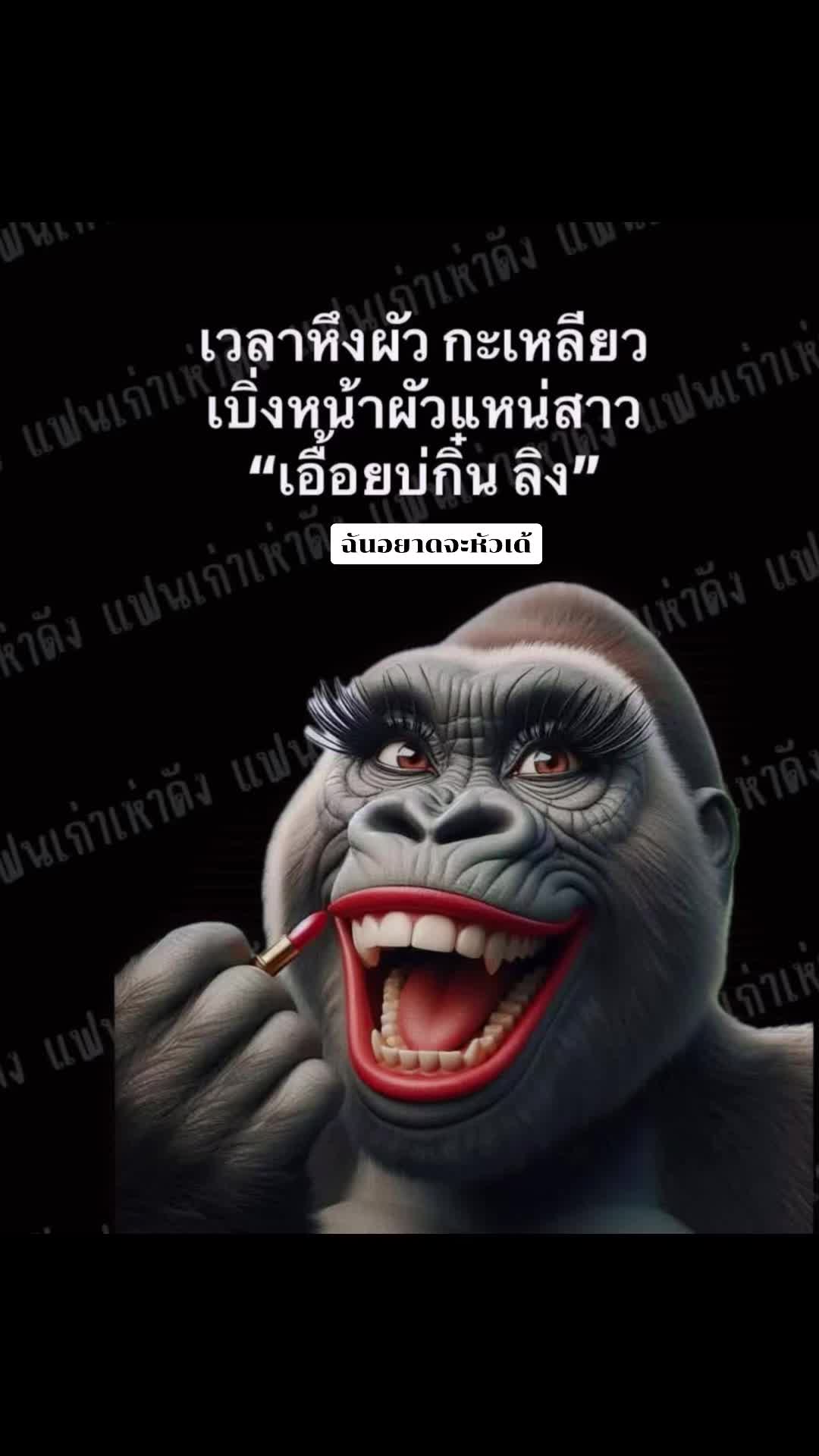 @๐๐๐๐๐๐>๐ซ๐ฉ๐ปโค๏ธ๐จ๐ป