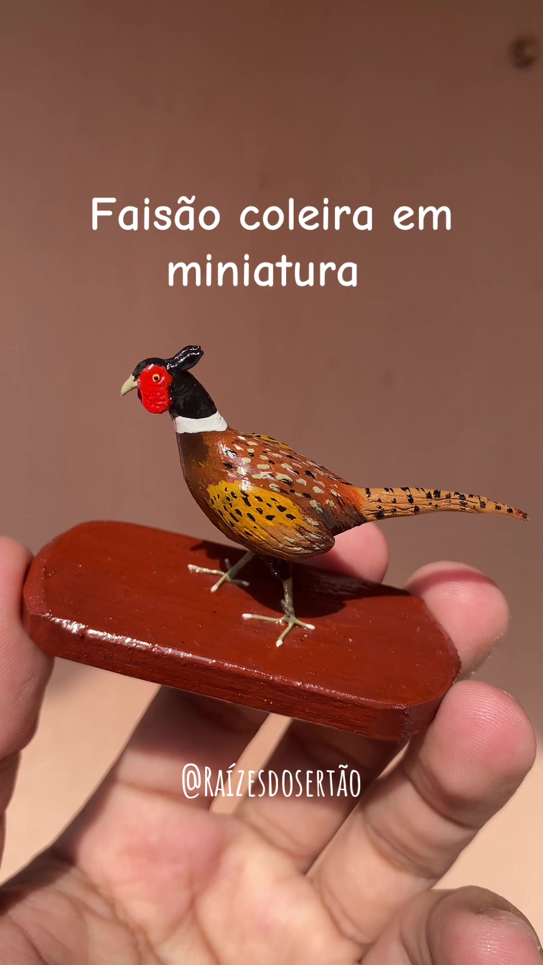 @Raízesdosertão