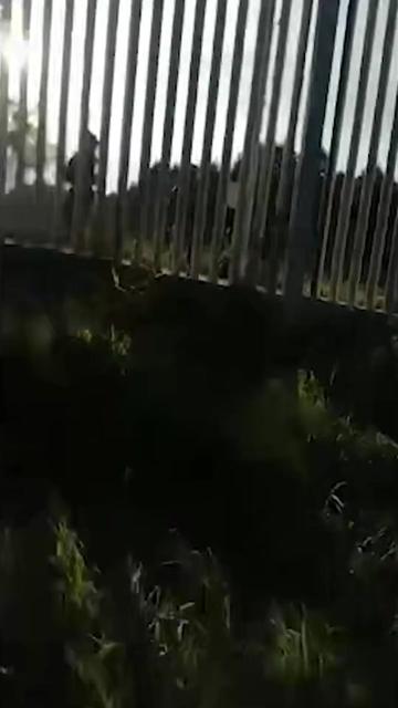 @armedcitizen
