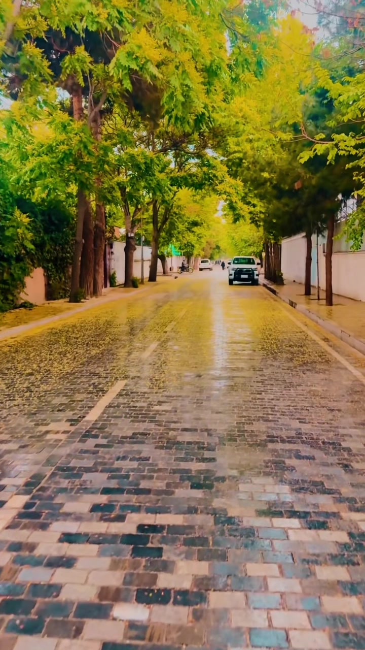 @Habib _✧─Zαdrαɳ❉͜͡
