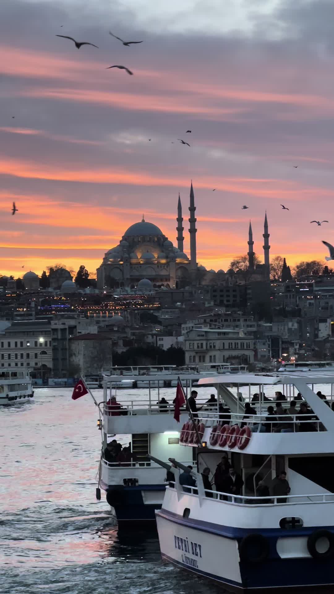 @Professional groupe💎