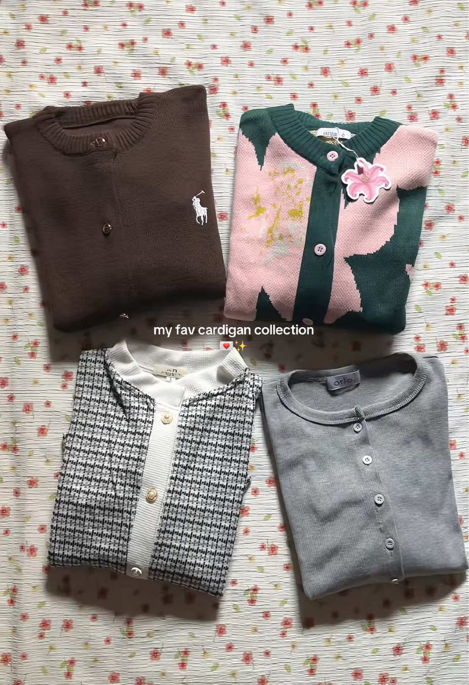 @livinbipsie ₍ᐢ. .ᐢ₎
