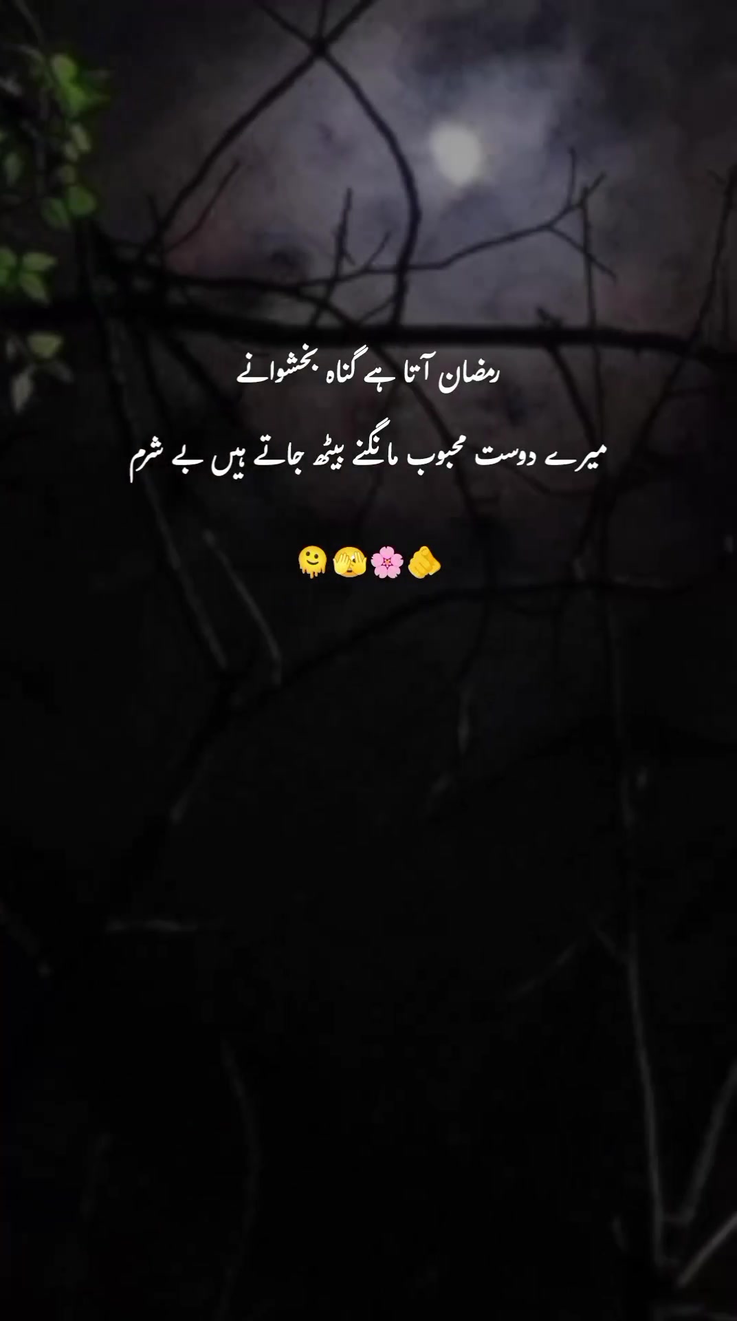 @ﮩـﮩﮩ٨ـ🫀ﮩ٨ـﮩﮩ٨ـ