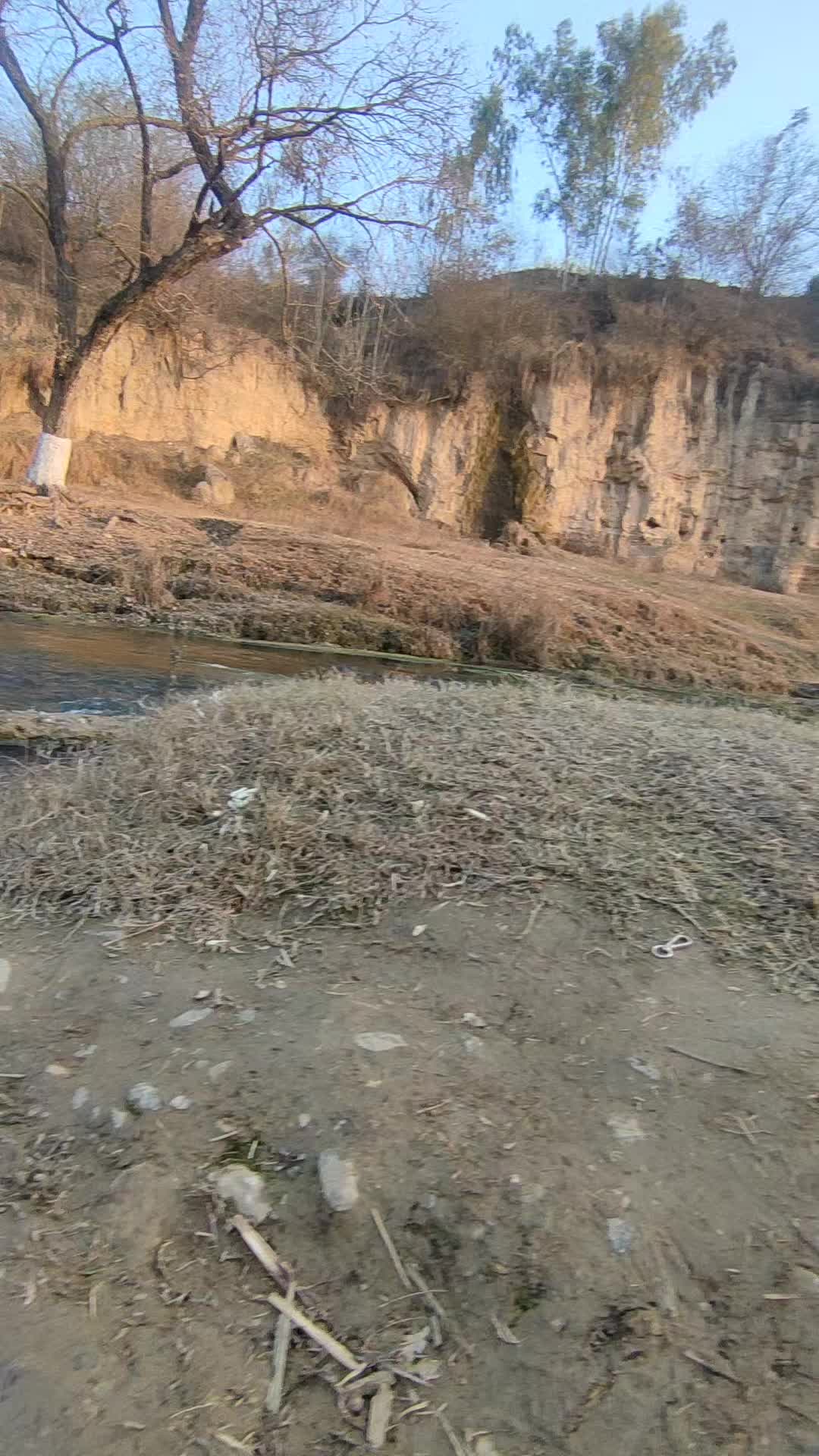 @kaliwala jenai