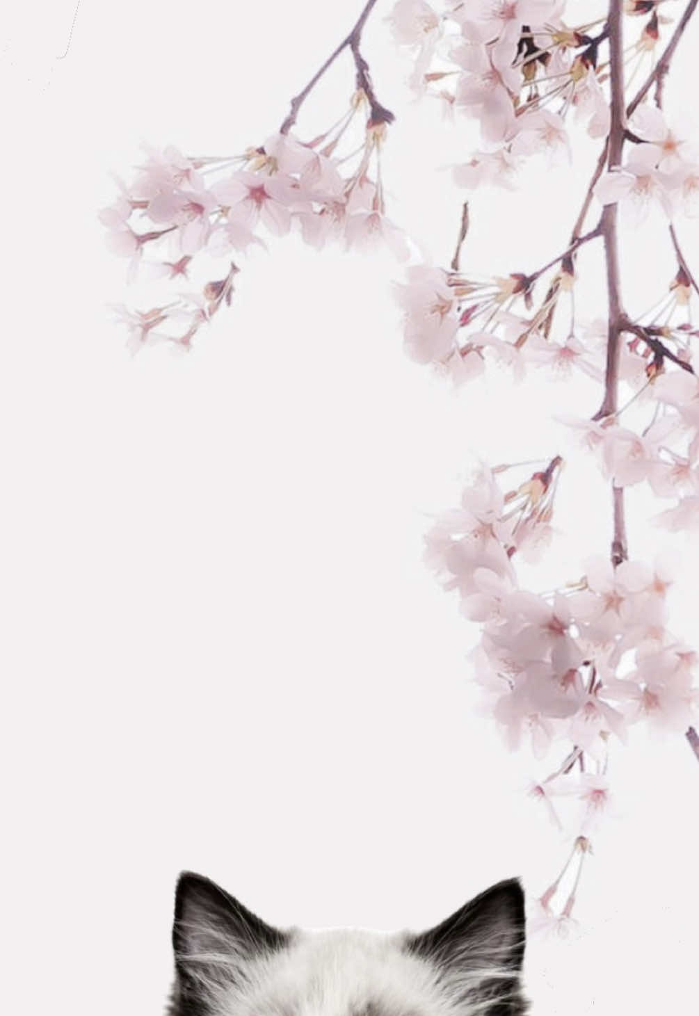 @𝓁𝑒𝑜𝓃𝒾𝑒