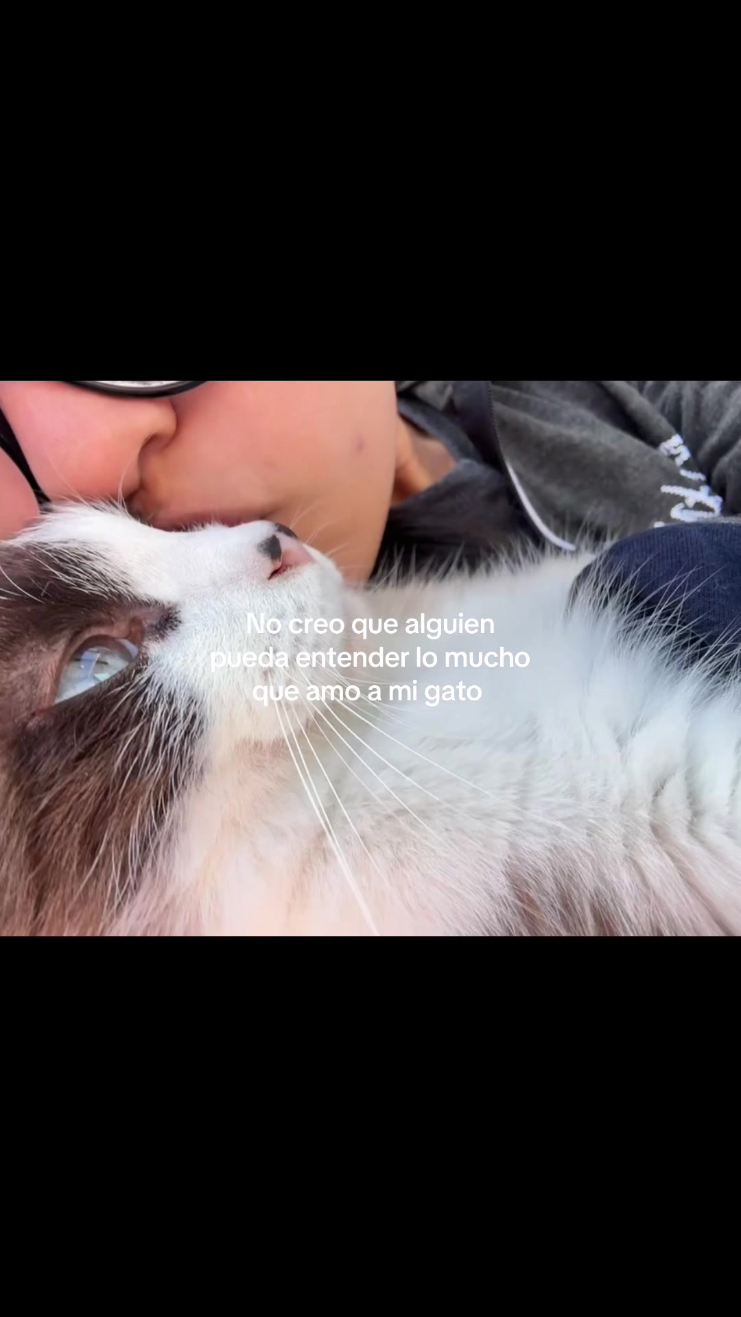 @ㅤ𝓓𝓪𝓷𝓲𝓮𝓵𝓪