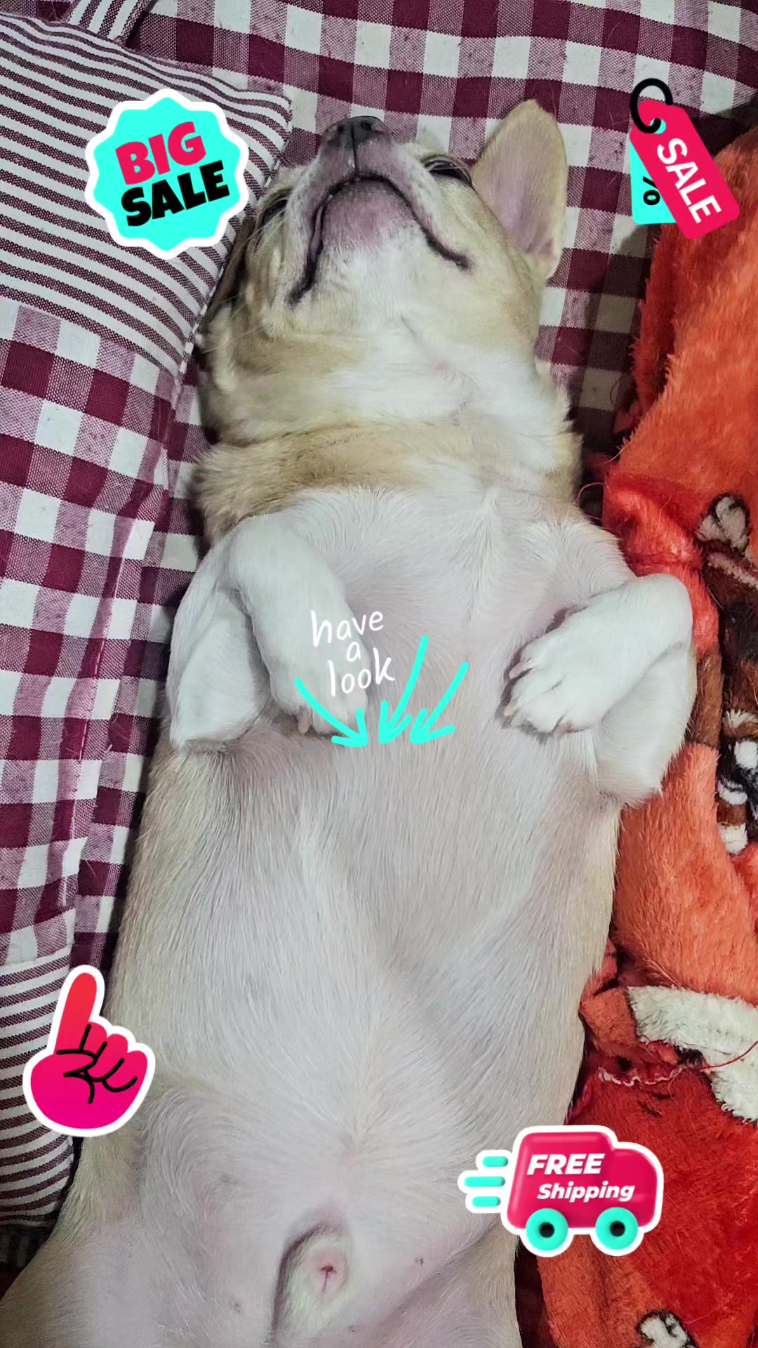 @ツ♡̷̷̷꙳✿⋆C h e r l i y aꔛ ⋆⁺ +