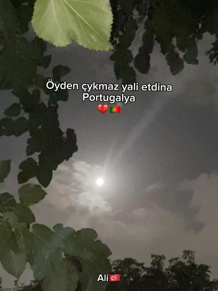 @𝐀𝐥𝐢🇹🇷✵