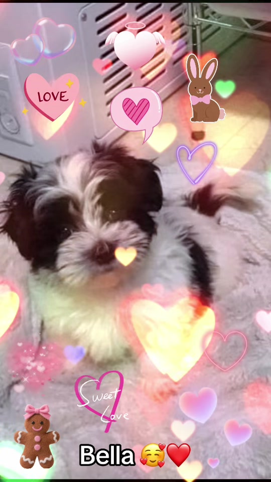 @๐๐ช๐ป๐๐๐ฎ๐ฎ๐๐๐งธ๐