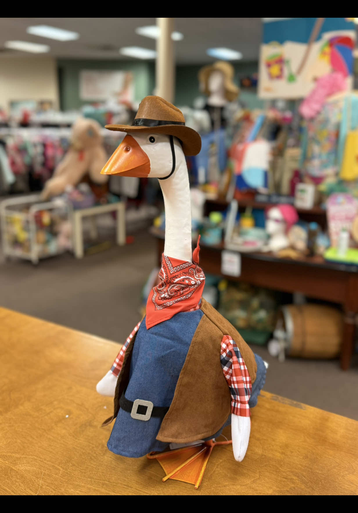 @Cara | Rodeo Thrift