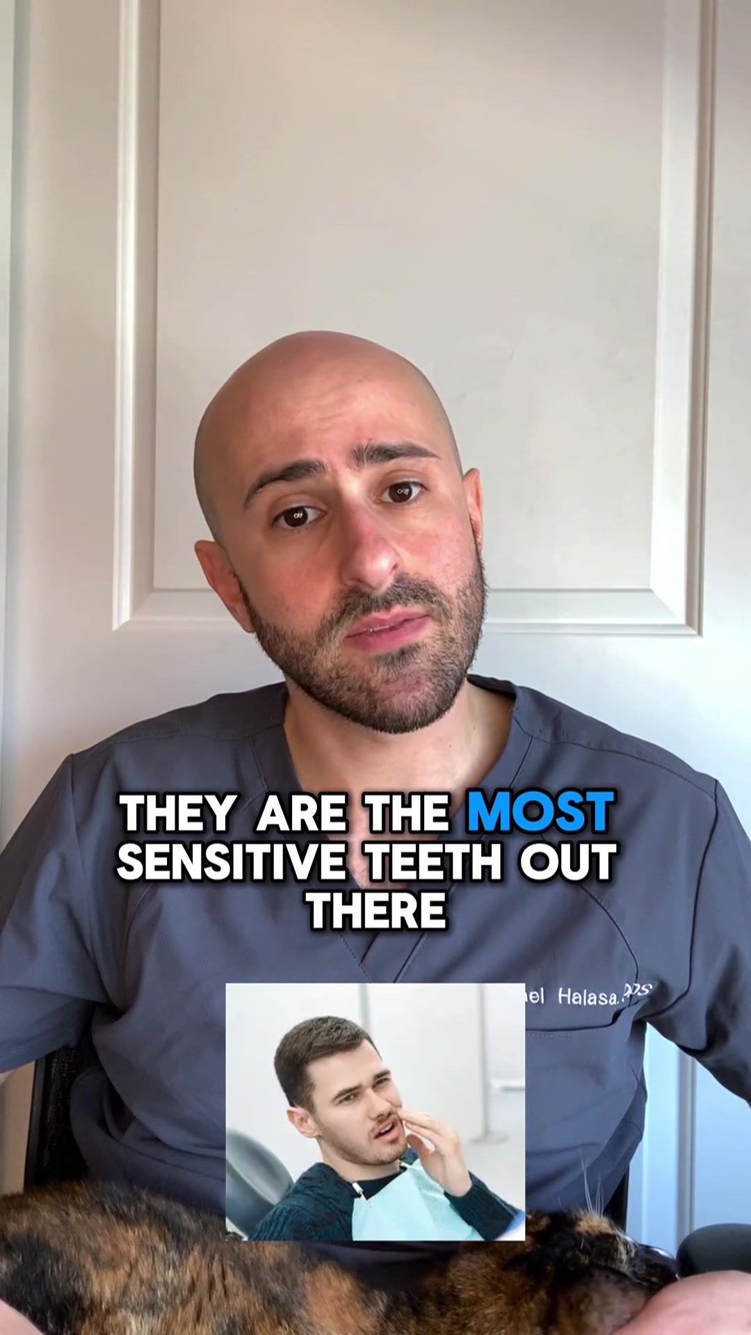 @Dr. Michael Halasa, DDS