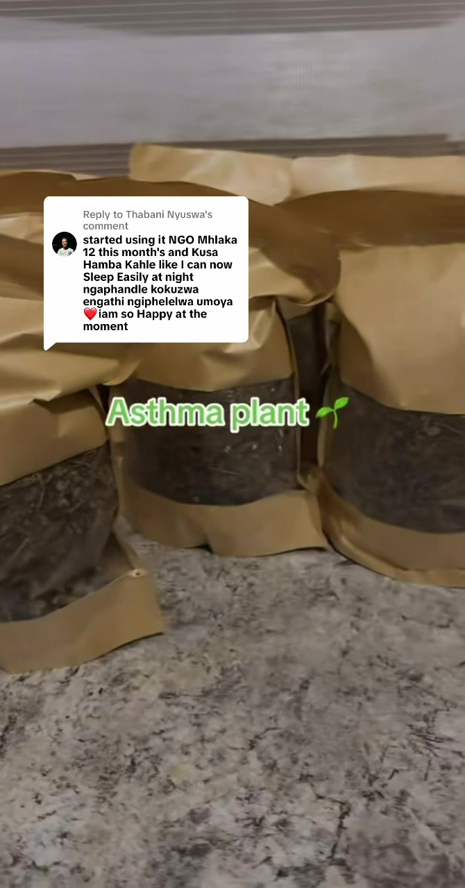 @Asthma-plant_herbalshop