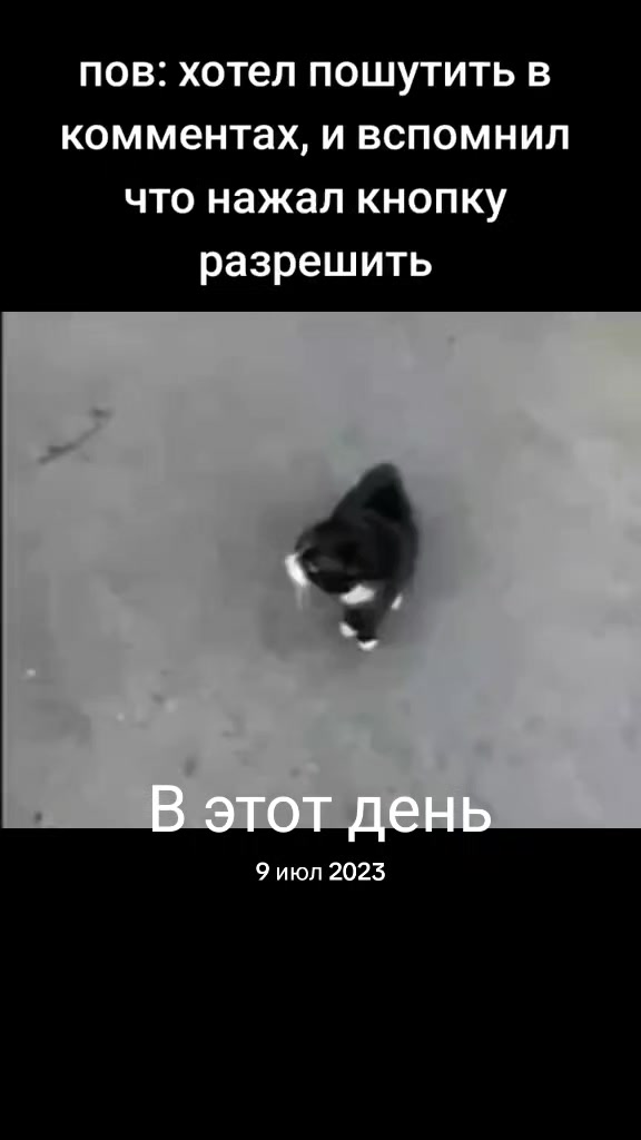 @хз