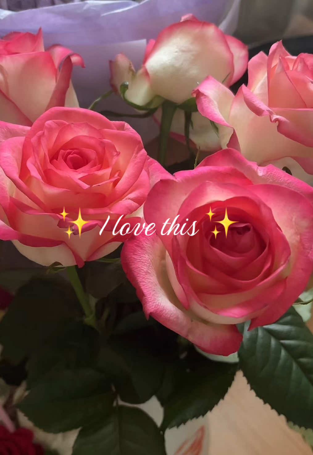 @Annjoy🍒