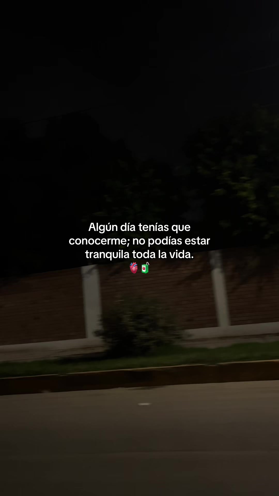 @Gatocix 🐱