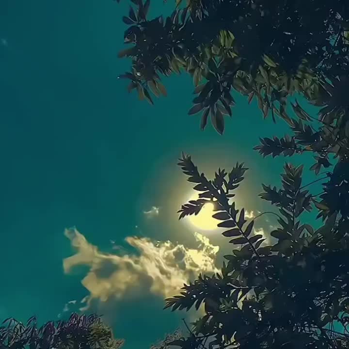 @Priyamanaval Mala🕊️