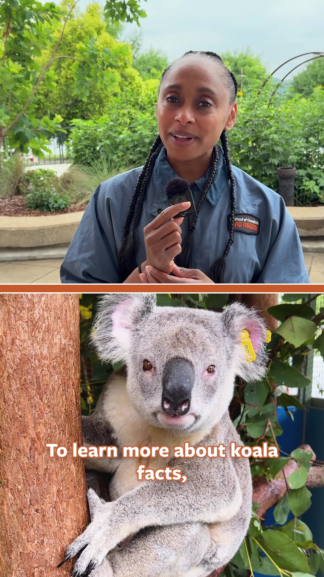 @Mutual of Omaha's Wild Kingdom