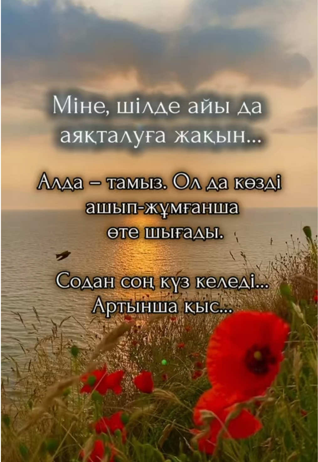 @aray_dinasil