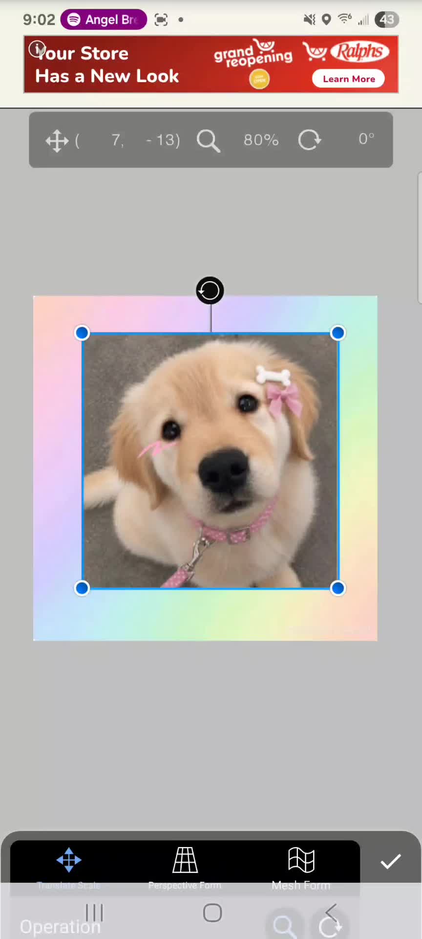 @˚₊‧꒰ა𝙰𝚗𝚐𝚎𝚕 𝚙𝚞𝚙𝚙y໒꒱ ₊˚