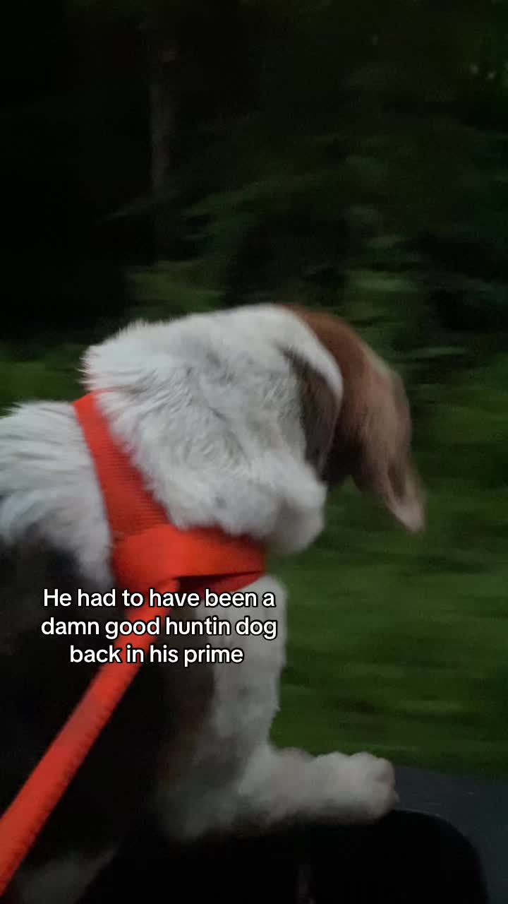 @em