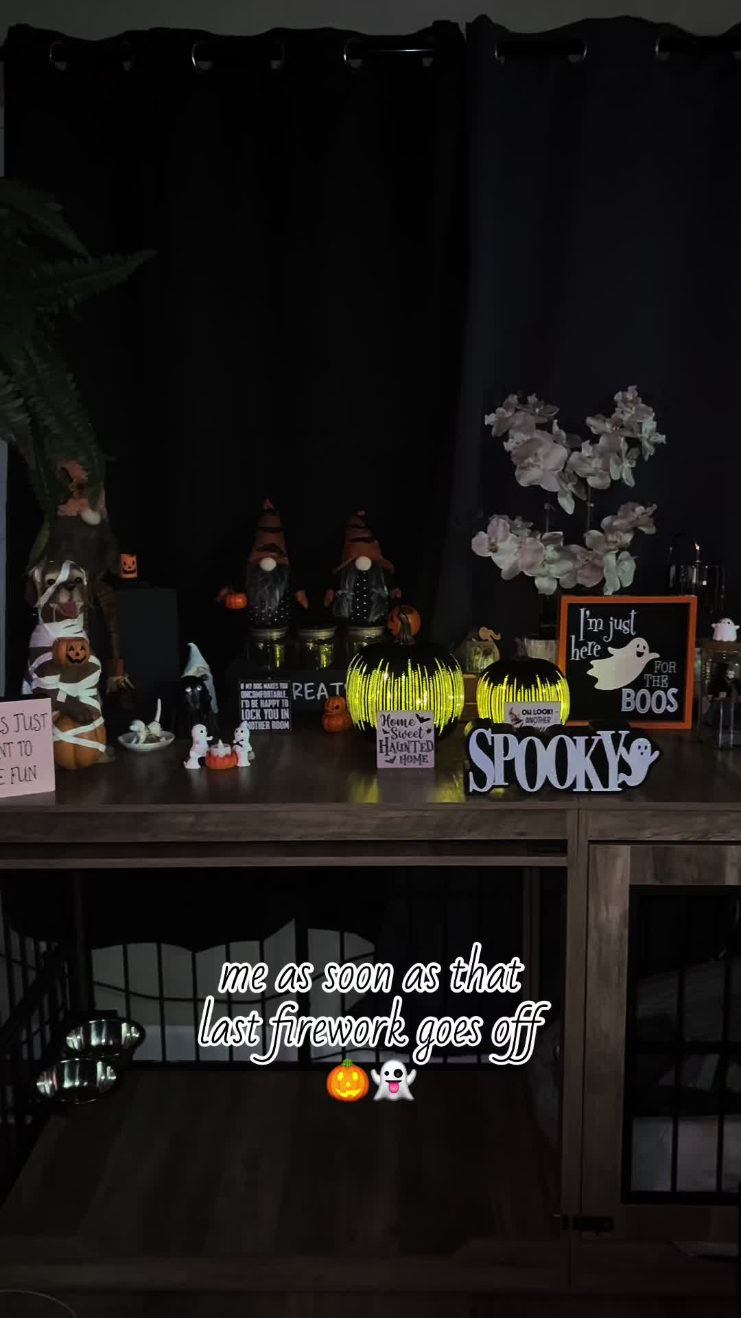@kai•thedogmother🐾