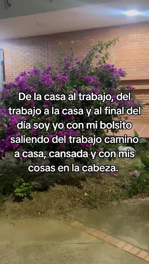 @Angie ⚡