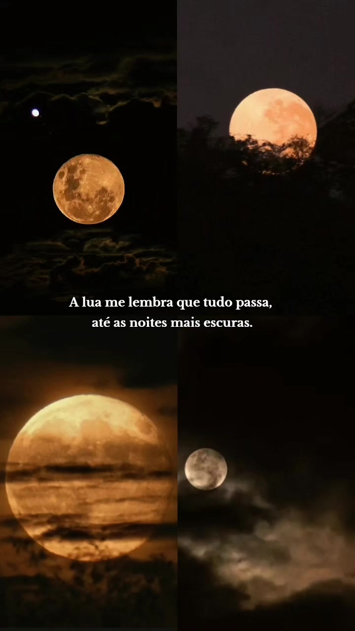 @frases da mel