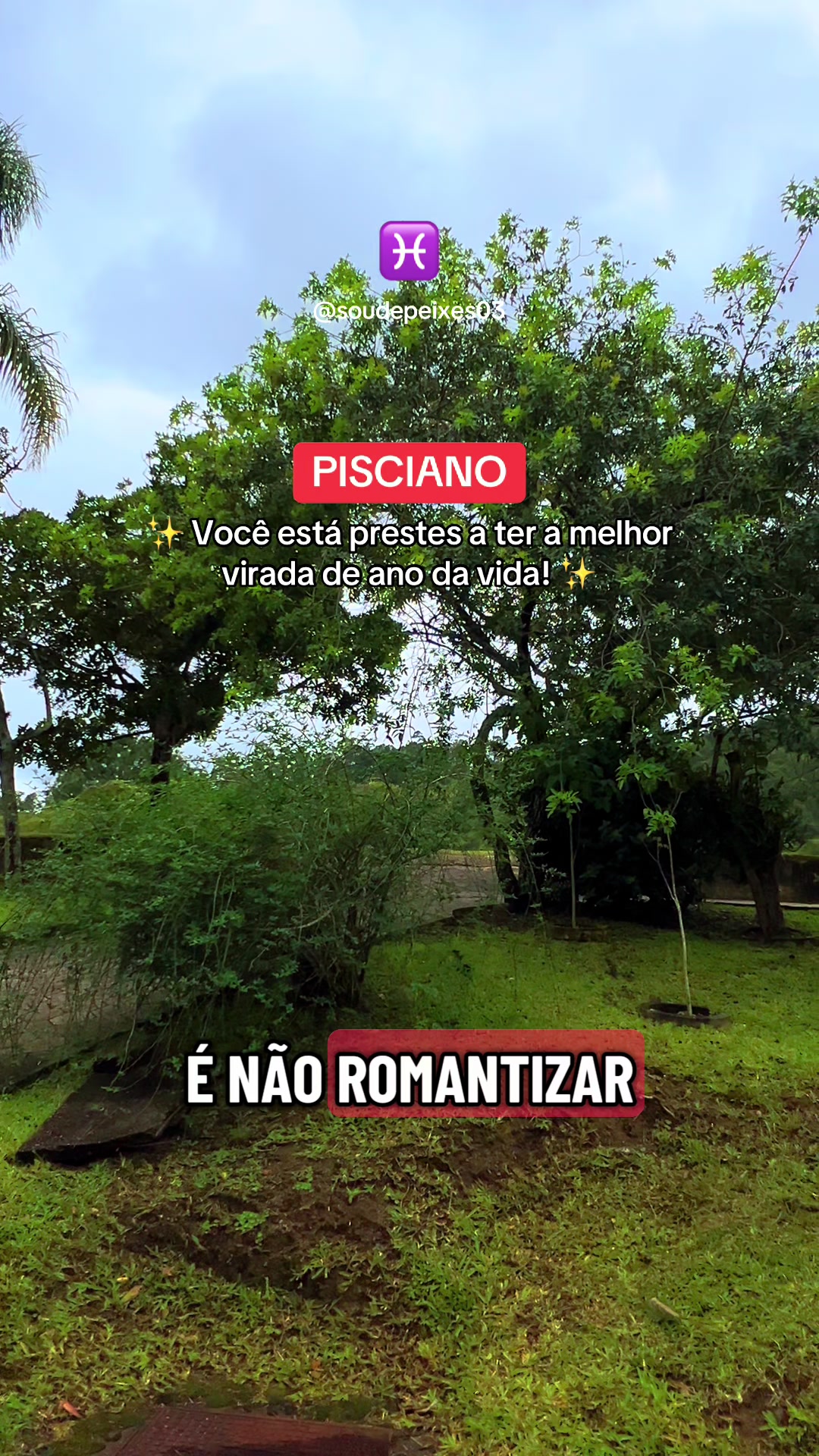 @soudepeixes
