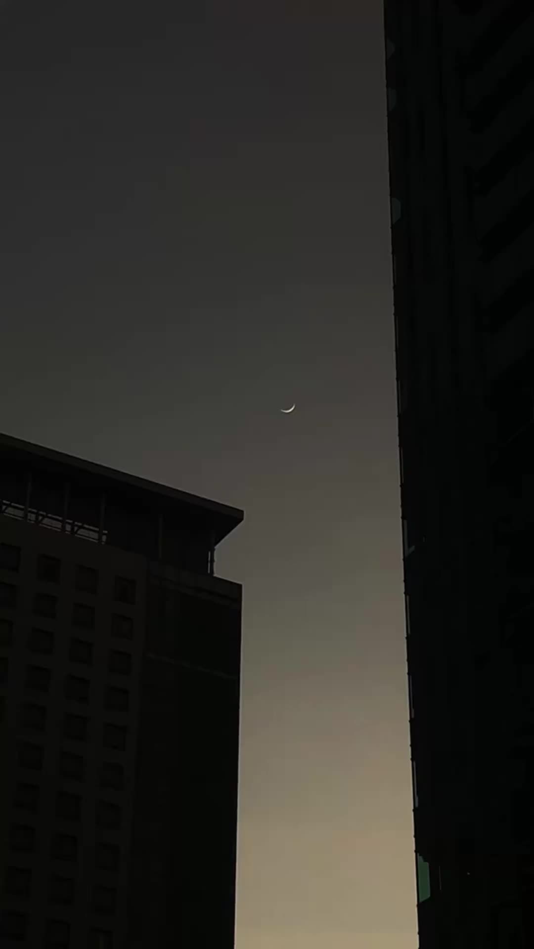 @𝗛𝗮𝗿𝗿𝘆
