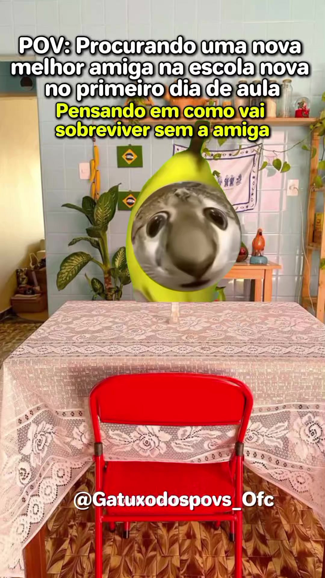 @Gatuxo Dos Povs Ofc