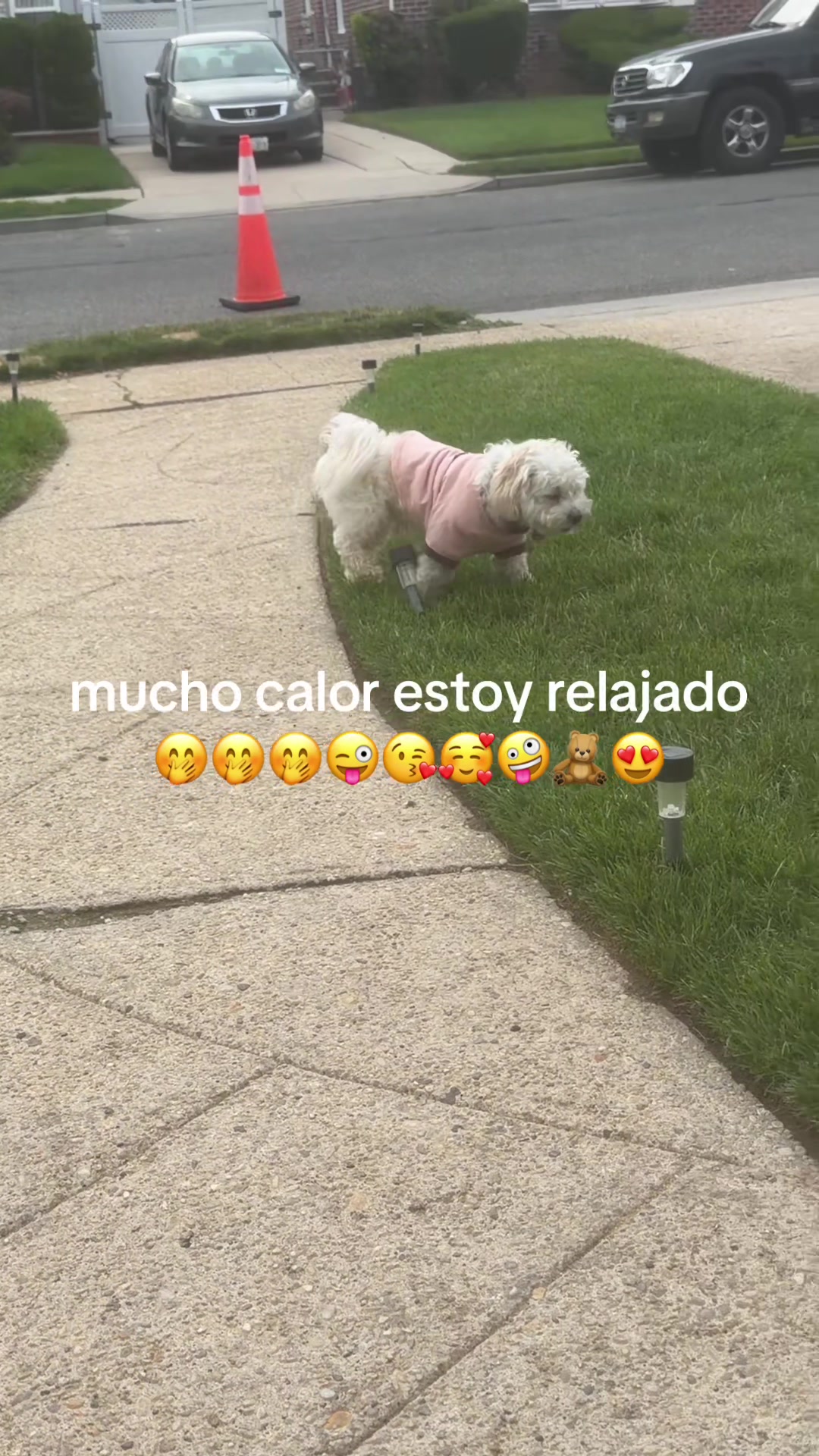 @El Byron