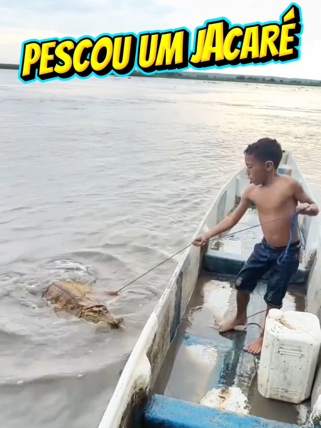 @TRAVEL PINGUIM