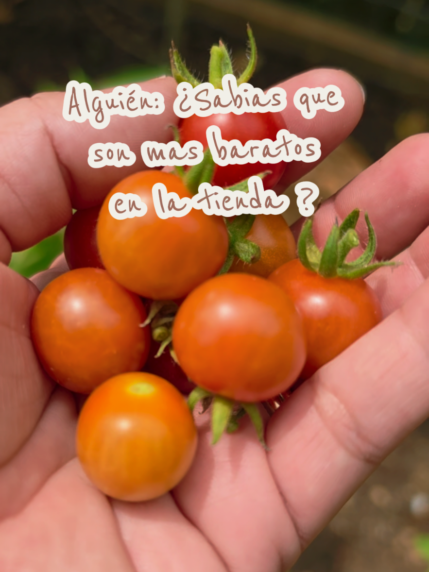 @Mi Rincón Favorito