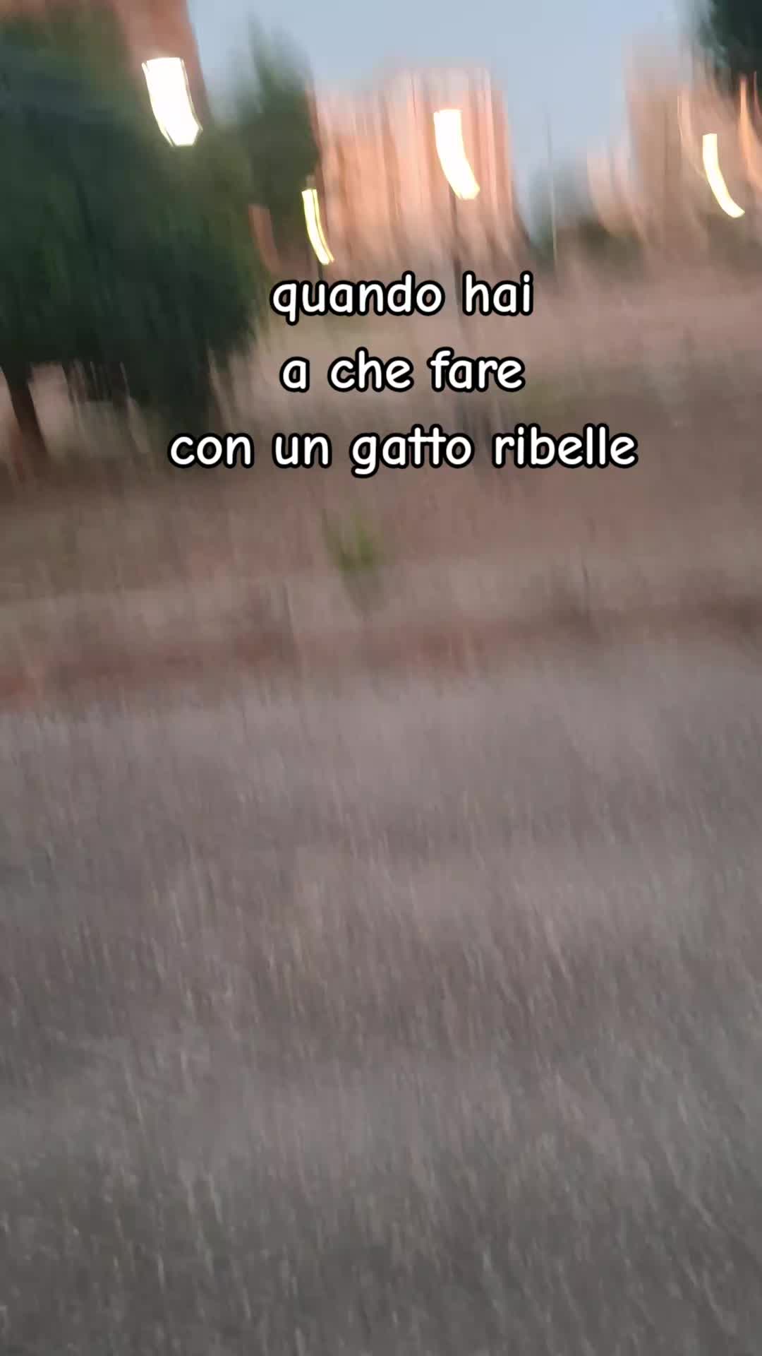 @marianna