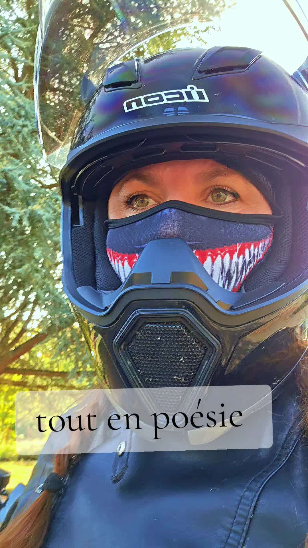 @libelluledusoir54