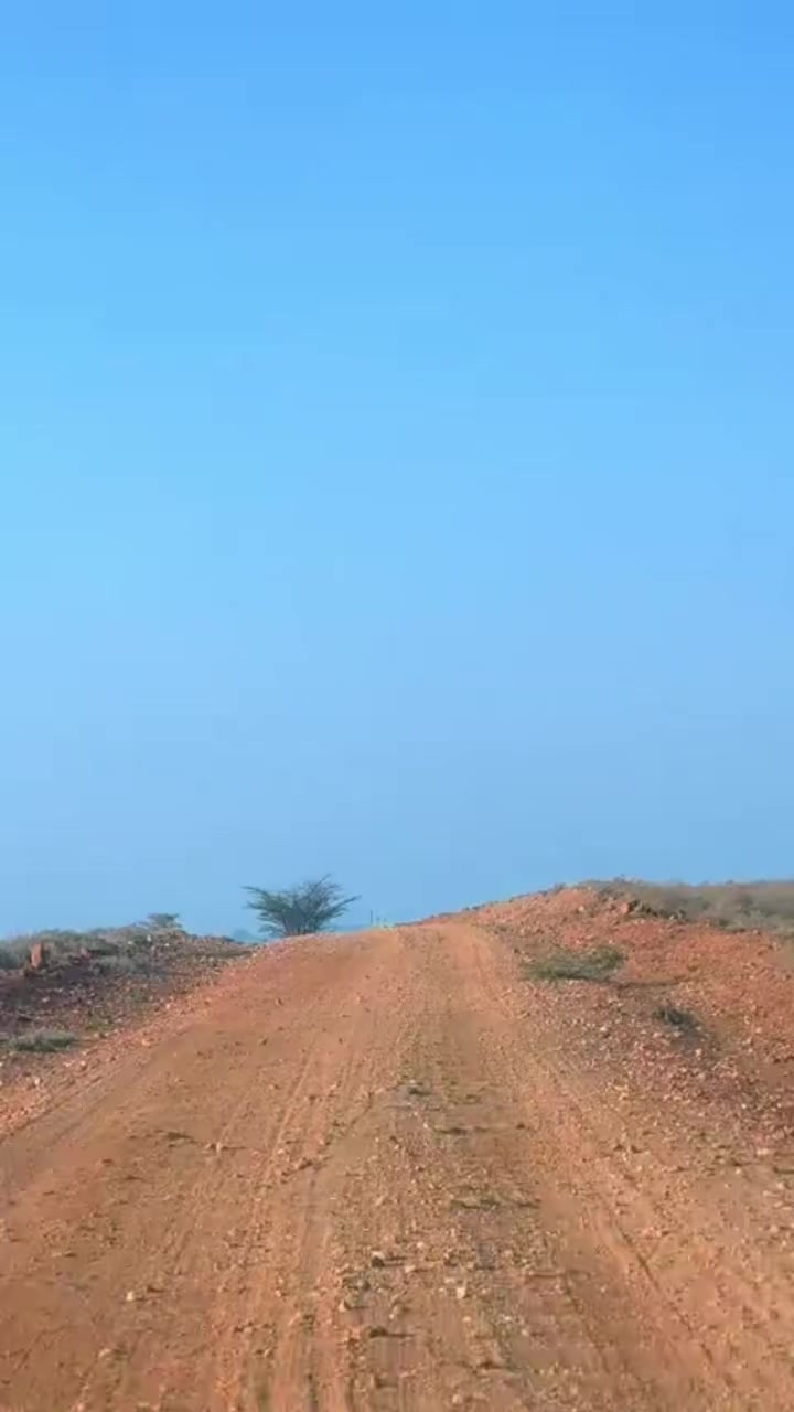 @stush254