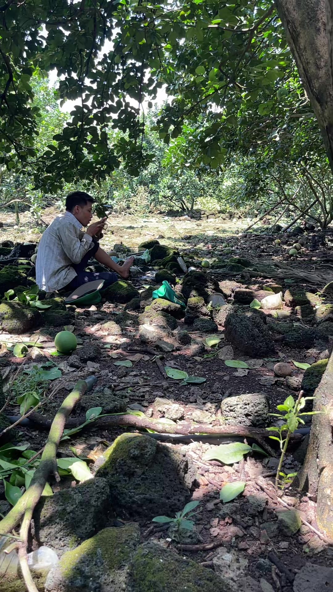 @Lê diễm hồng