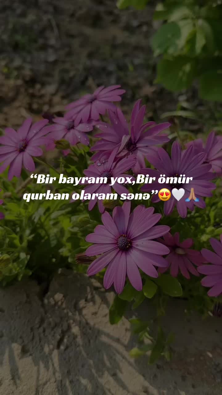 @Mikosh_baby