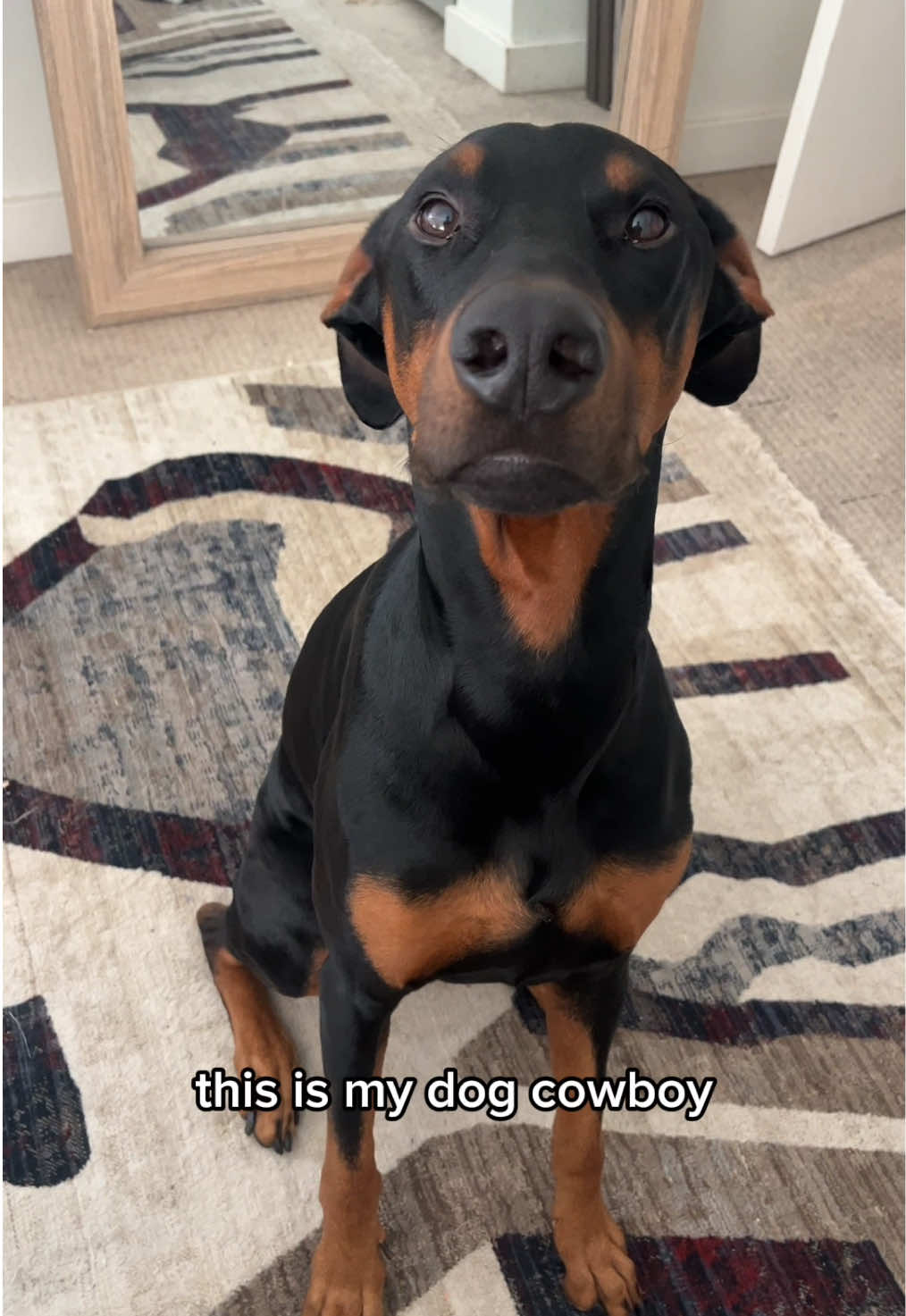 @Cowboy