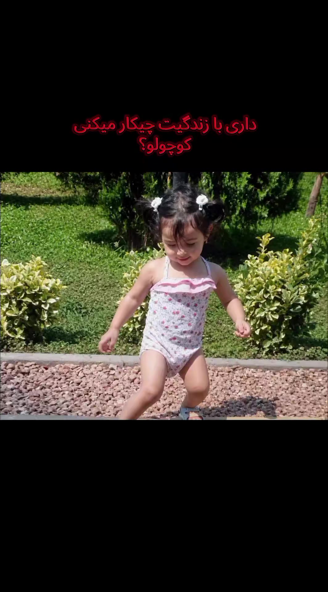 @nushin