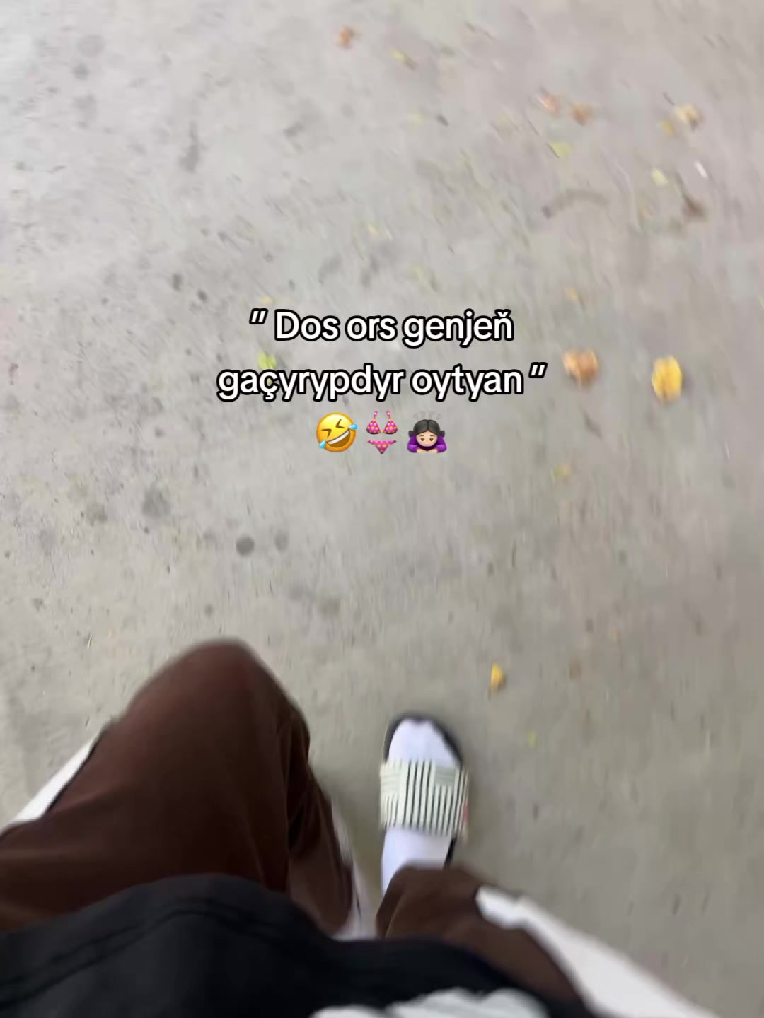 @๐๐ซ๐ข๐ฏ_๐๐๐ป๏ฃฟ